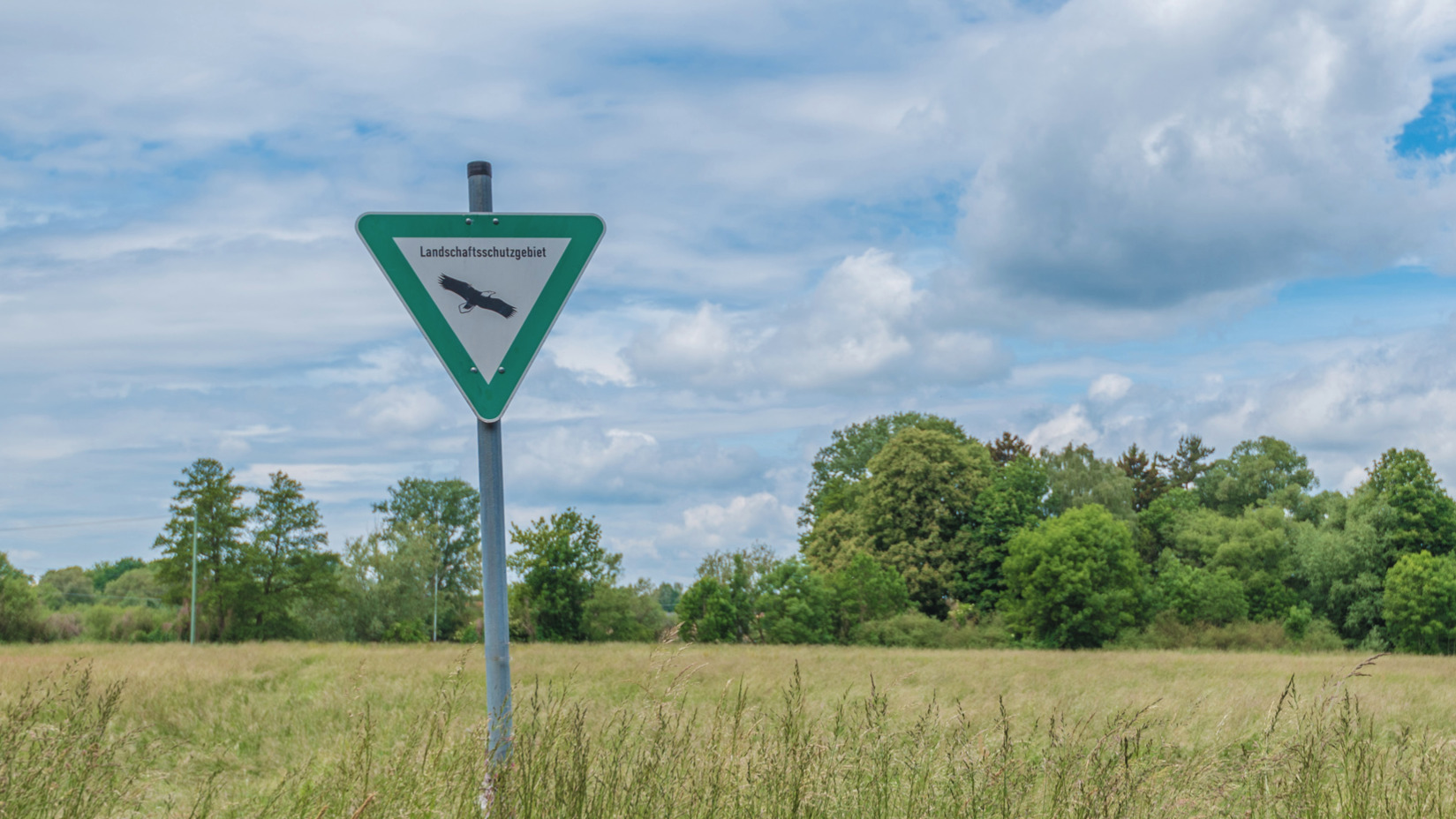 Bild zu Fachplanung – Natur, Infrastruktur, Landschaft